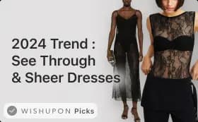 2024 Biggest Fashion Trend - sheer and transparent dress and skirt