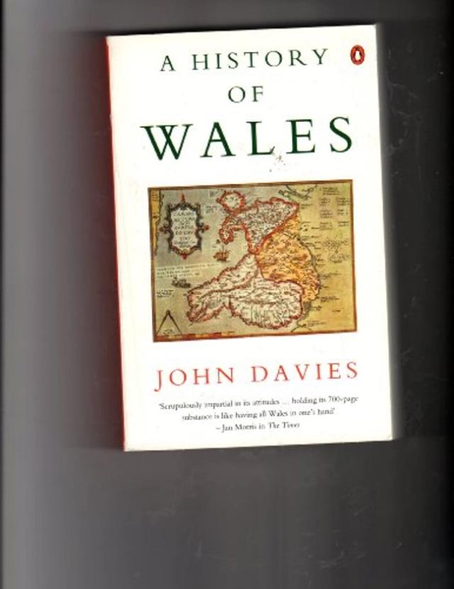 A History of Wales By John Davies | Used | 9780140145816 | World of Books