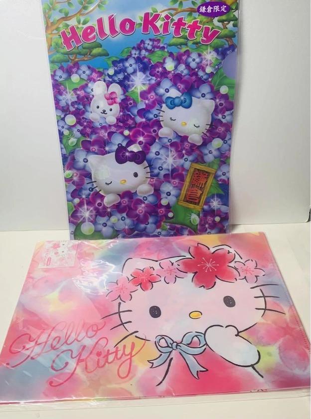 Hello Kitty Sakura Hydrangea A4 Clear File Japan E6