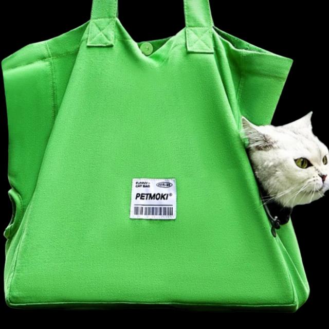 Best Things For Your Kitty